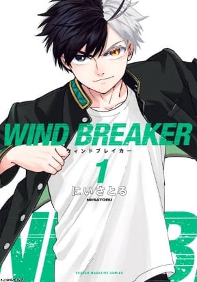 Wind Breaker (Japan)