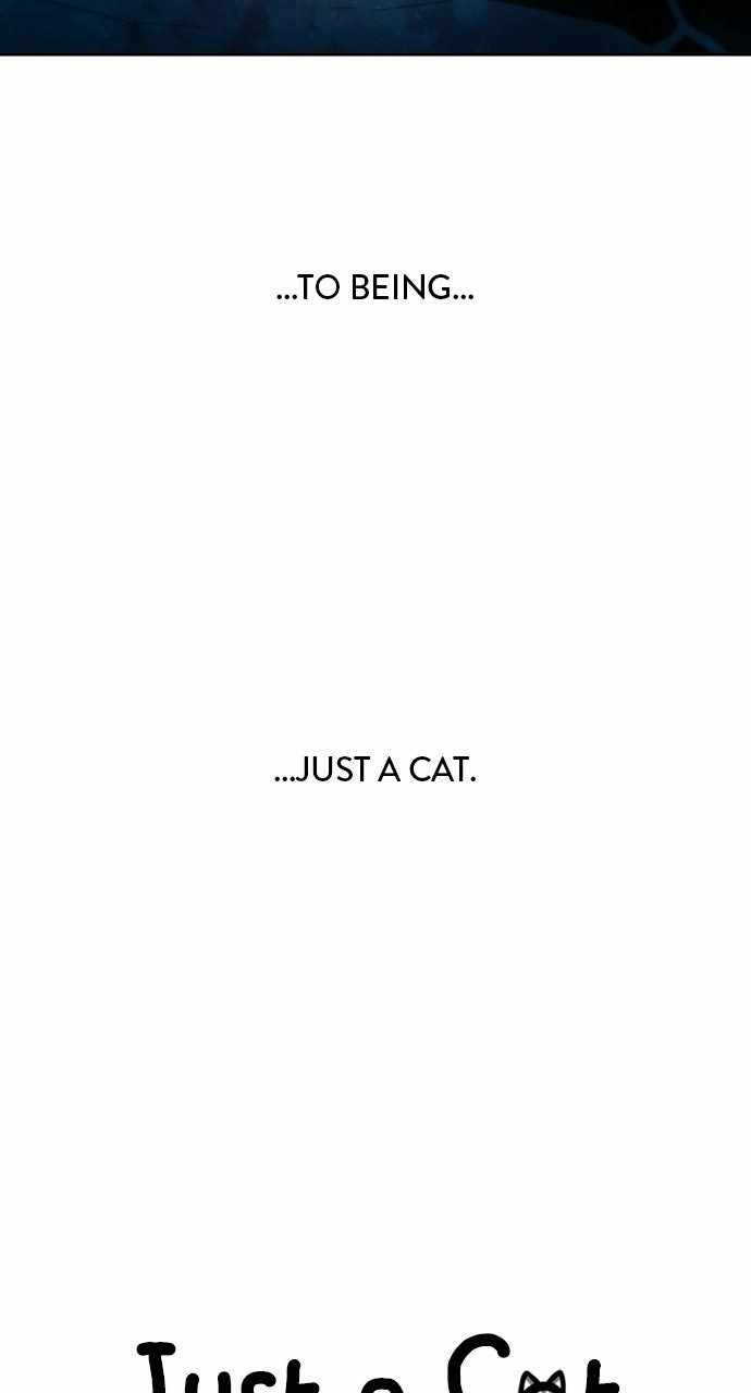 Just a Cat Chapter 61-eng-li - Page 41