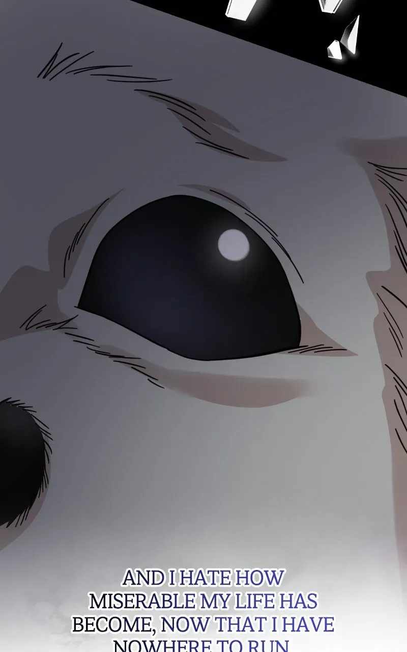 Can You Date a Ranker? Chapter 55-eng-li - Page 20