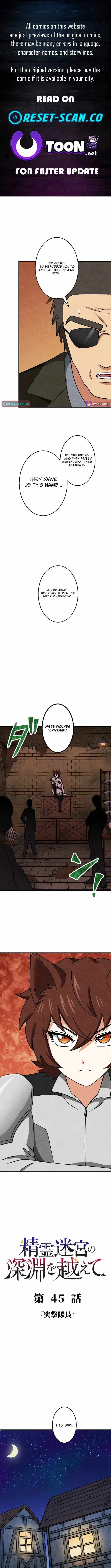 Beyond the Abyss of the Spirit Labyrinth Chapter 45-eng-li - Page 0
